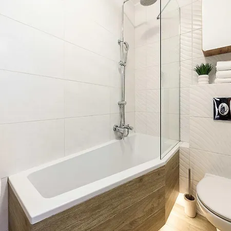 Flat Near Old Town *